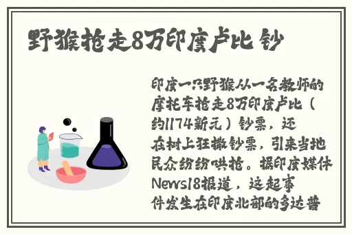 日韩精品一区二区三区在线观看